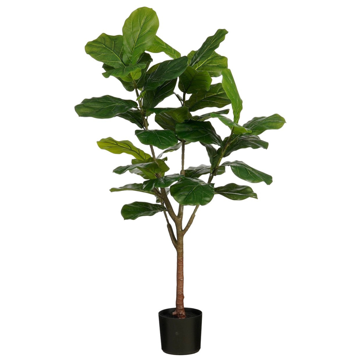 Ficus Lyrata In Pot Green Waterproof & Uv Resistant - H150Xd50Cm