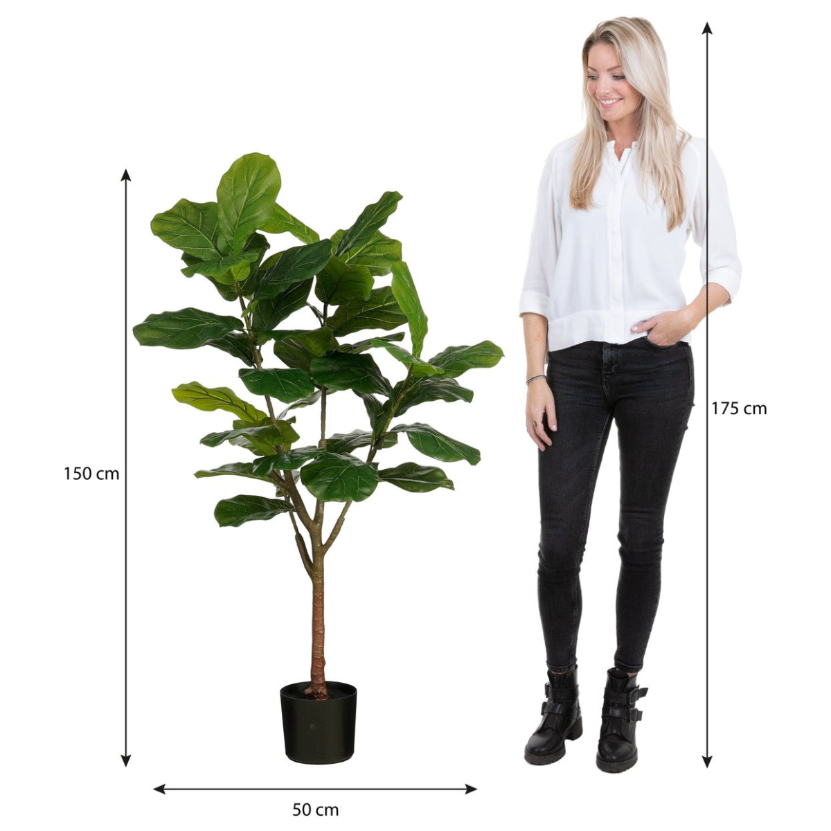 Ficus Lyrata In Pot Green Waterproof & Uv Resistant - H150Xd50Cm