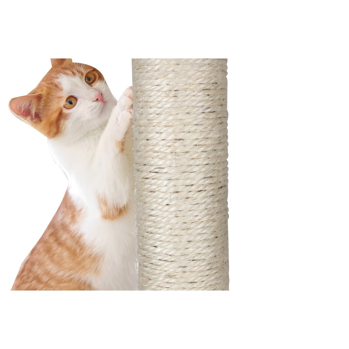 Cat Scratching Post Grey