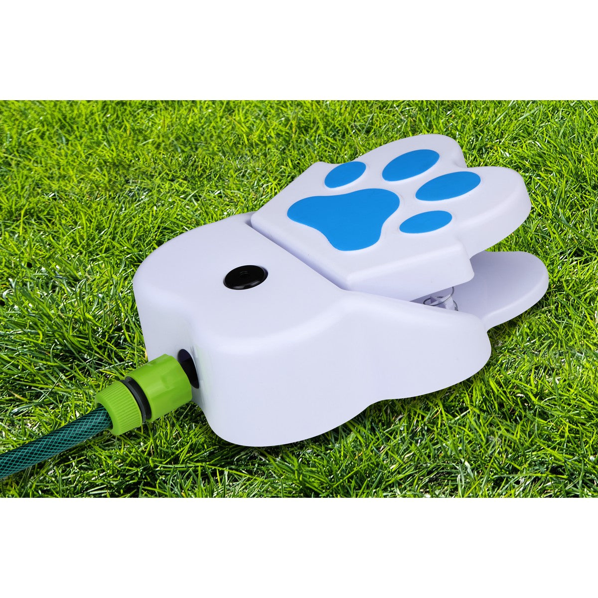 Drinking Fountain Dog