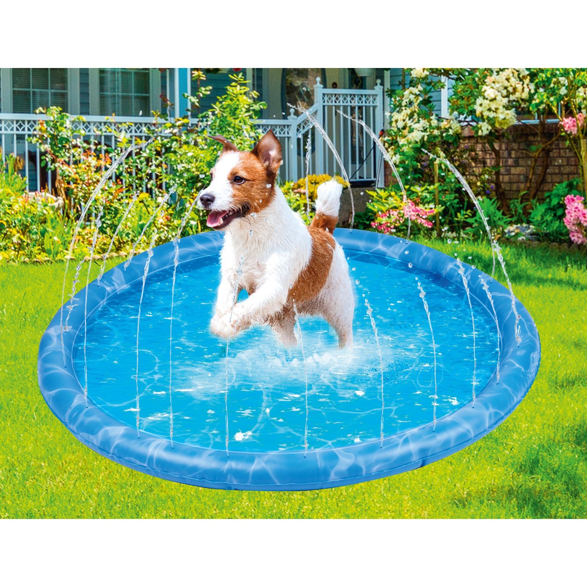 Dog Splash Pool And Sprinkler