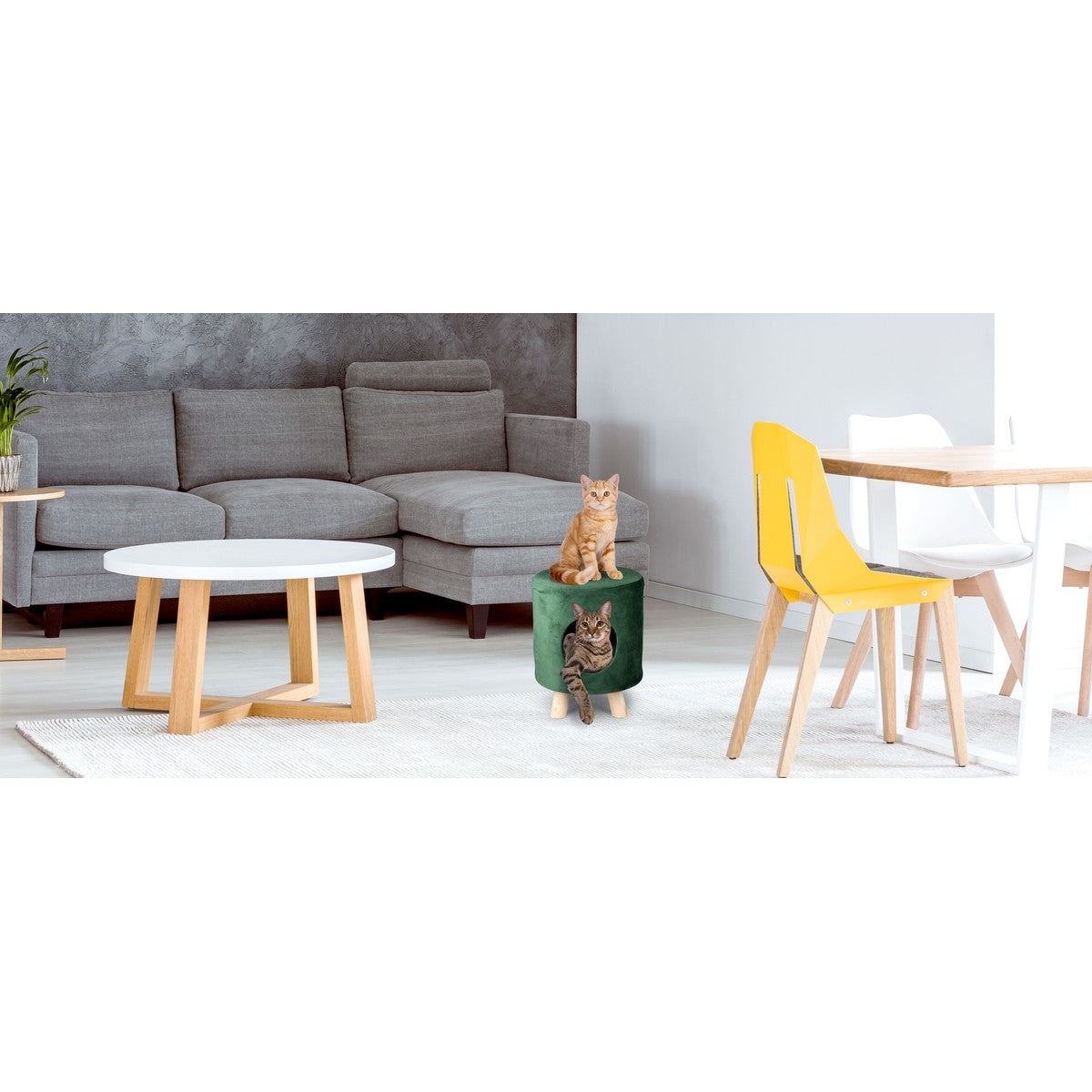Cat House Stool