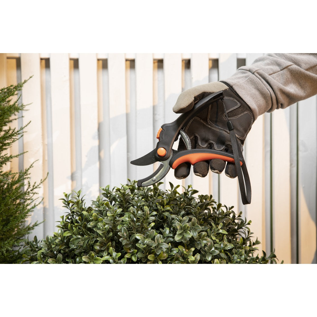 Anvil Pruner 8 Inch