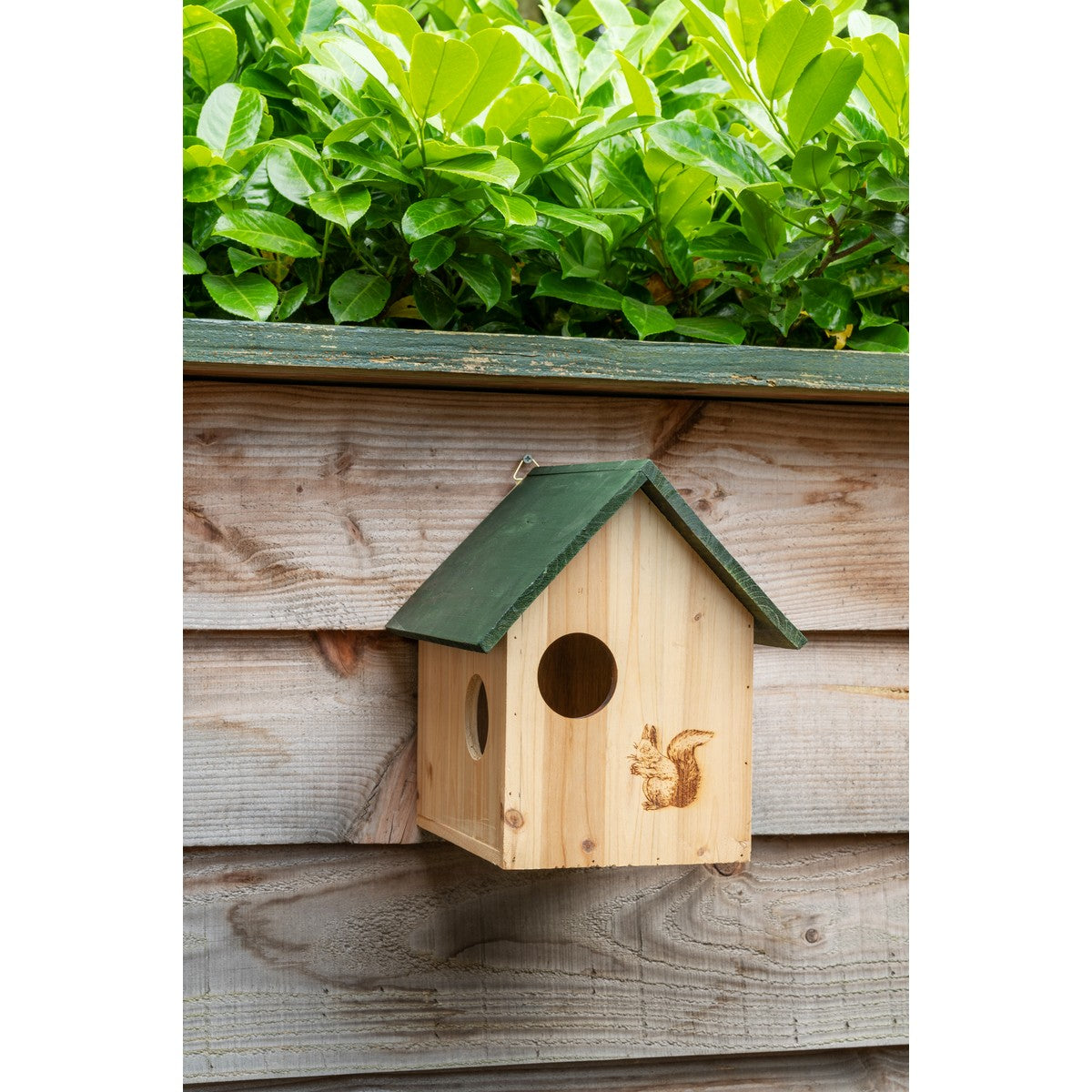 Squirrel House