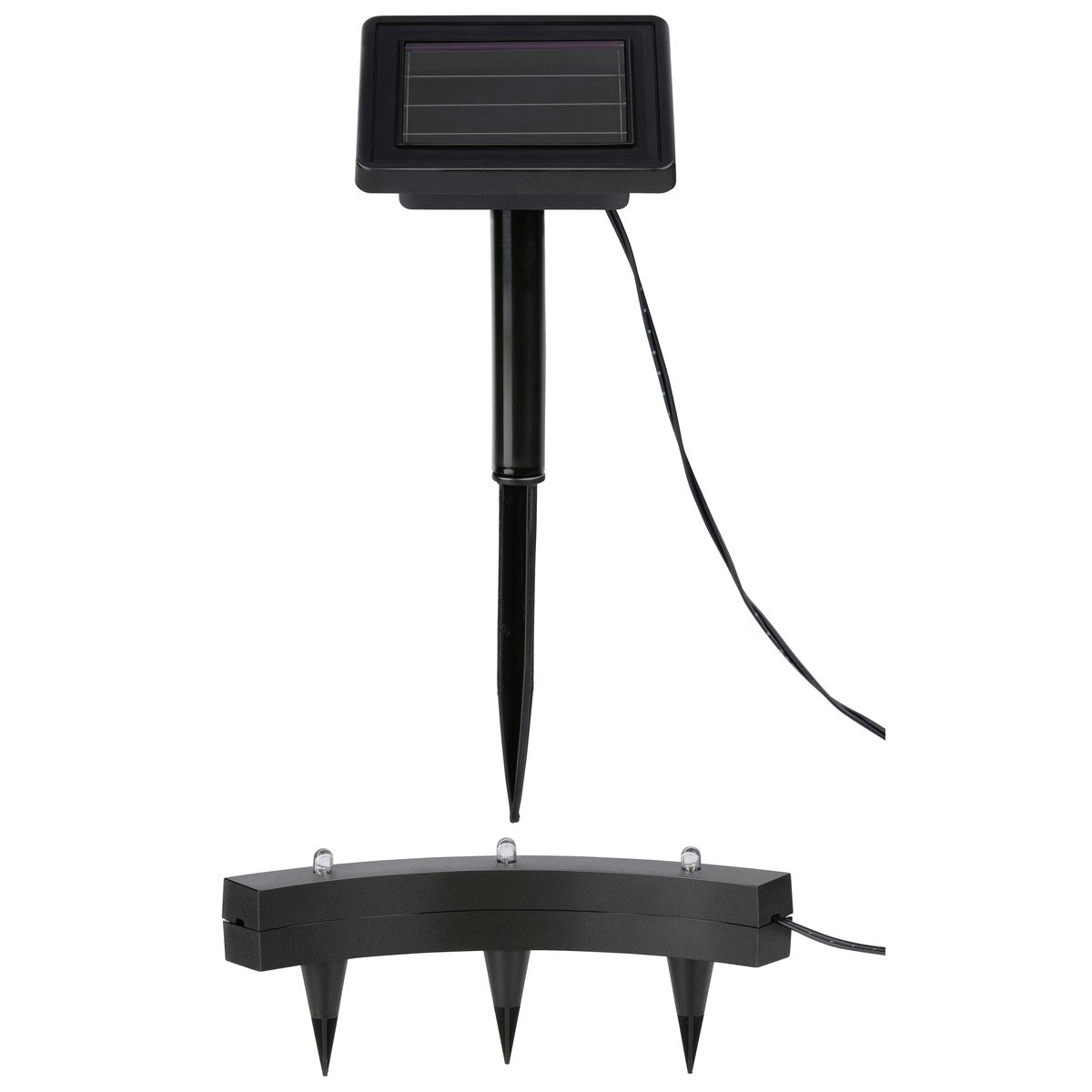 Solar Plant Spotlight