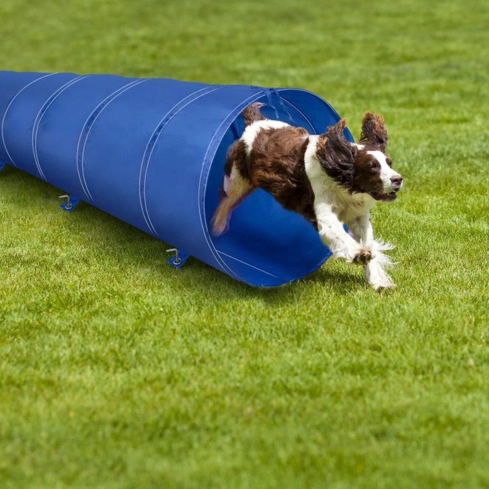 Dog Training Tunnel 2M