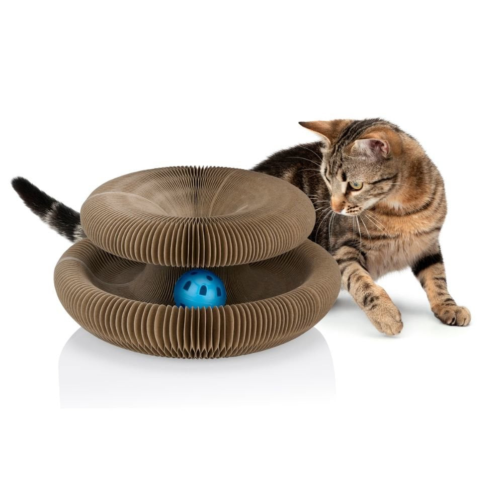 Cat Scratch Board 3Pc