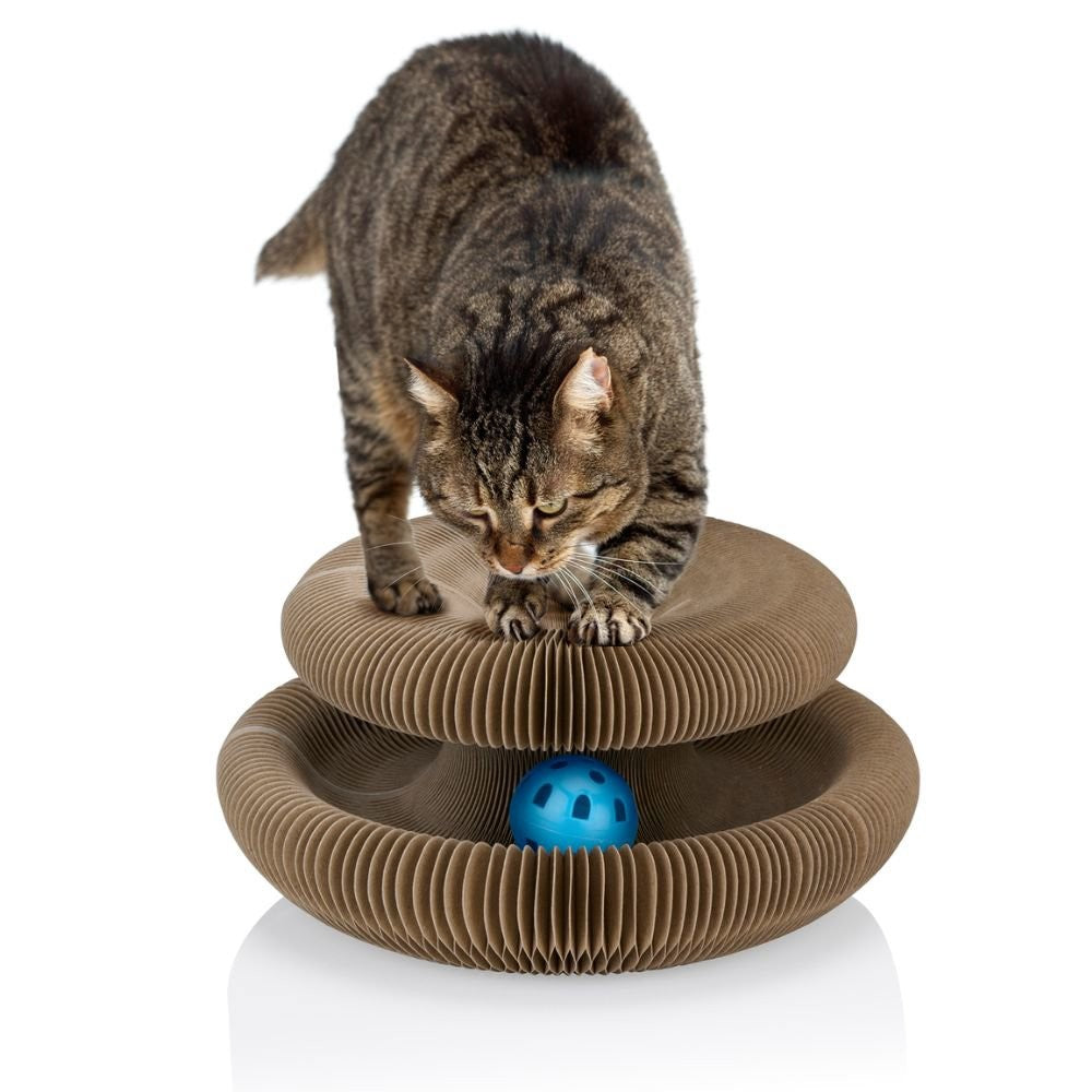 Cat Scratch Board 3Pc