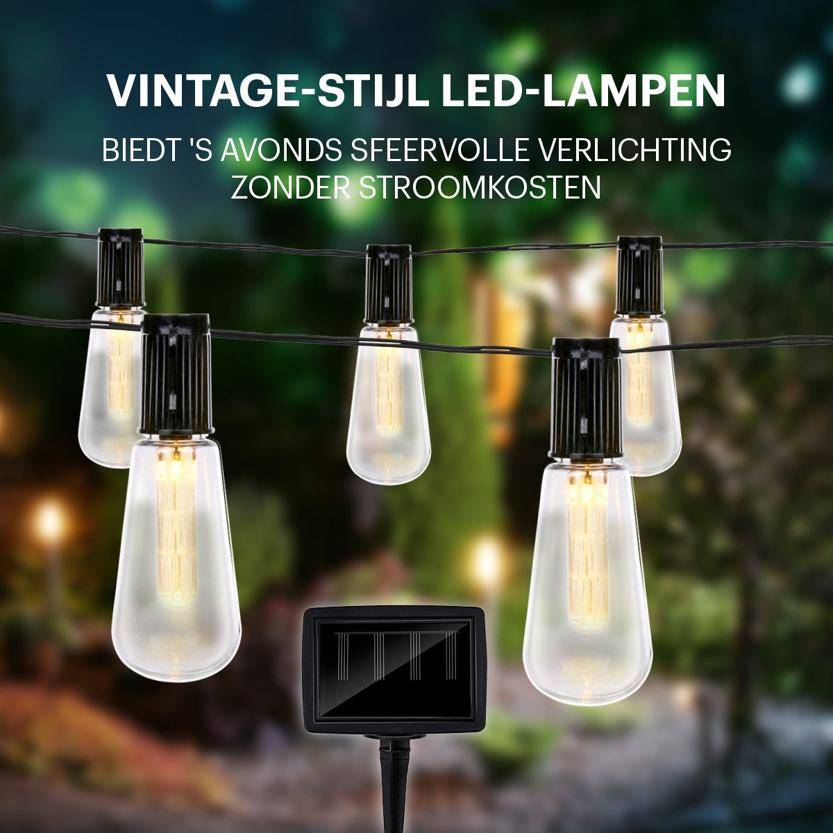 Light String Solar 10Pc