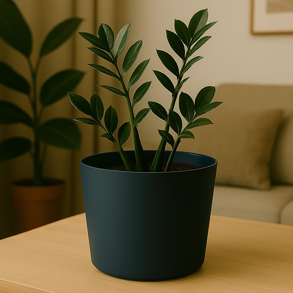 Pot Tubo D34Cm Dgrey