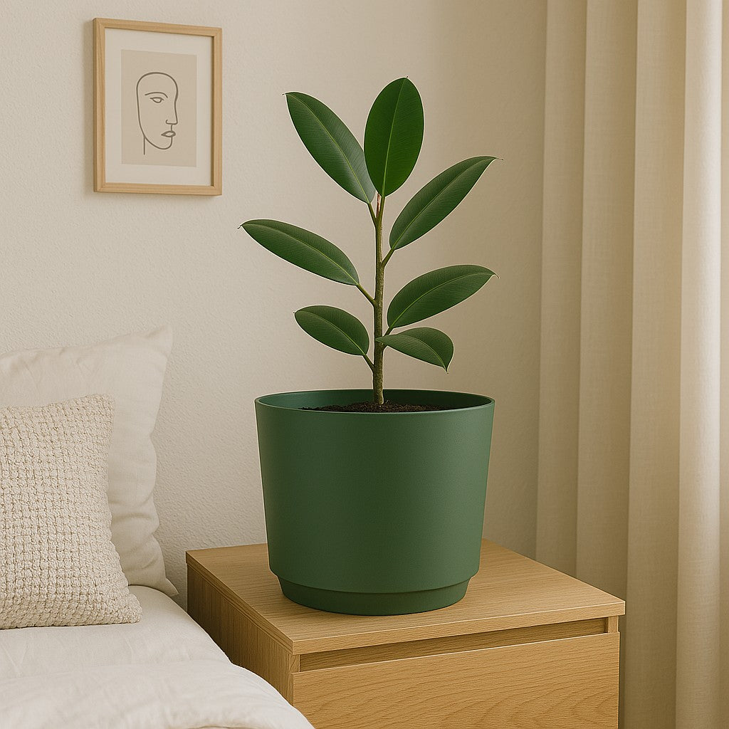 Pot Tubo D34Cm Green