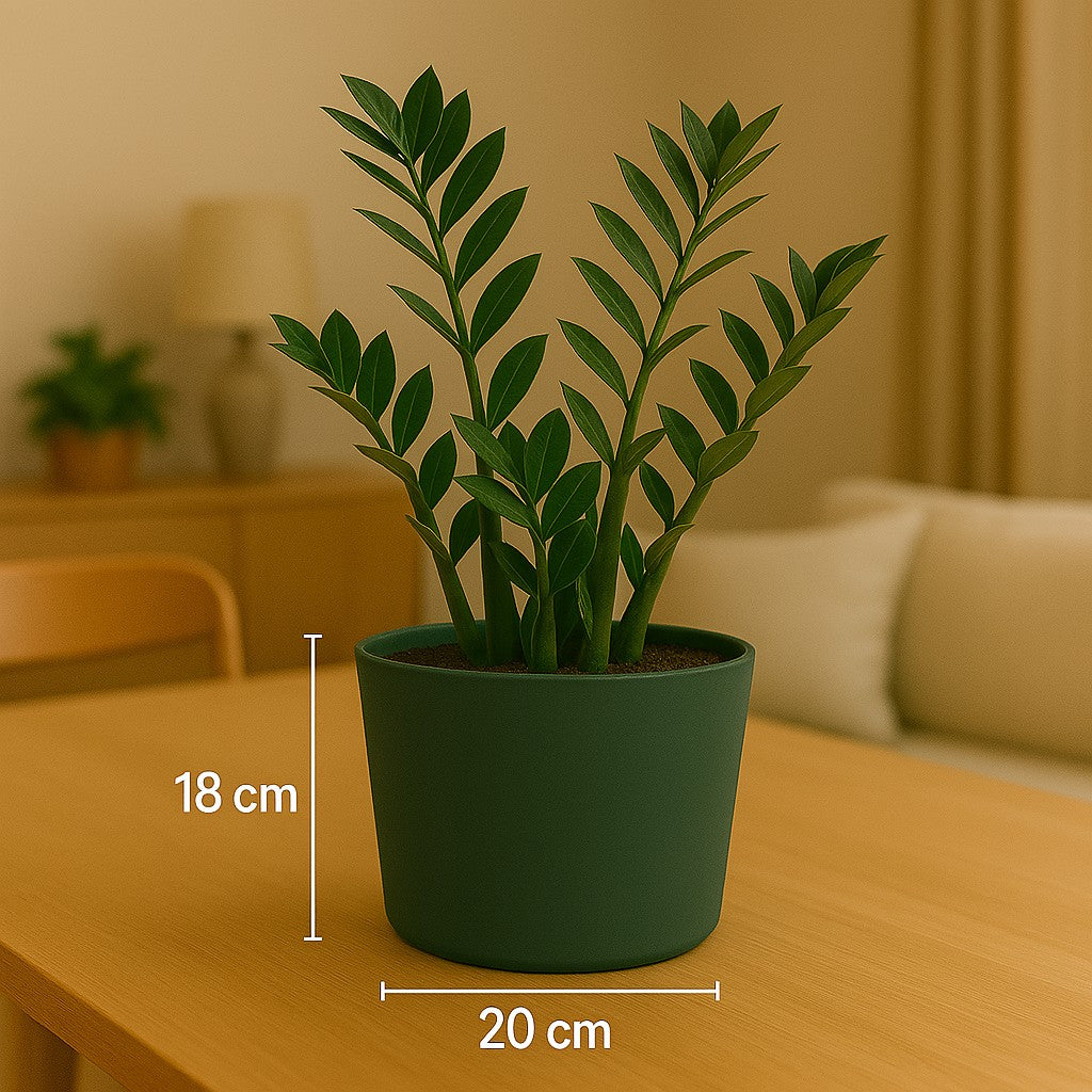 Pot Tubo Ø20 Green