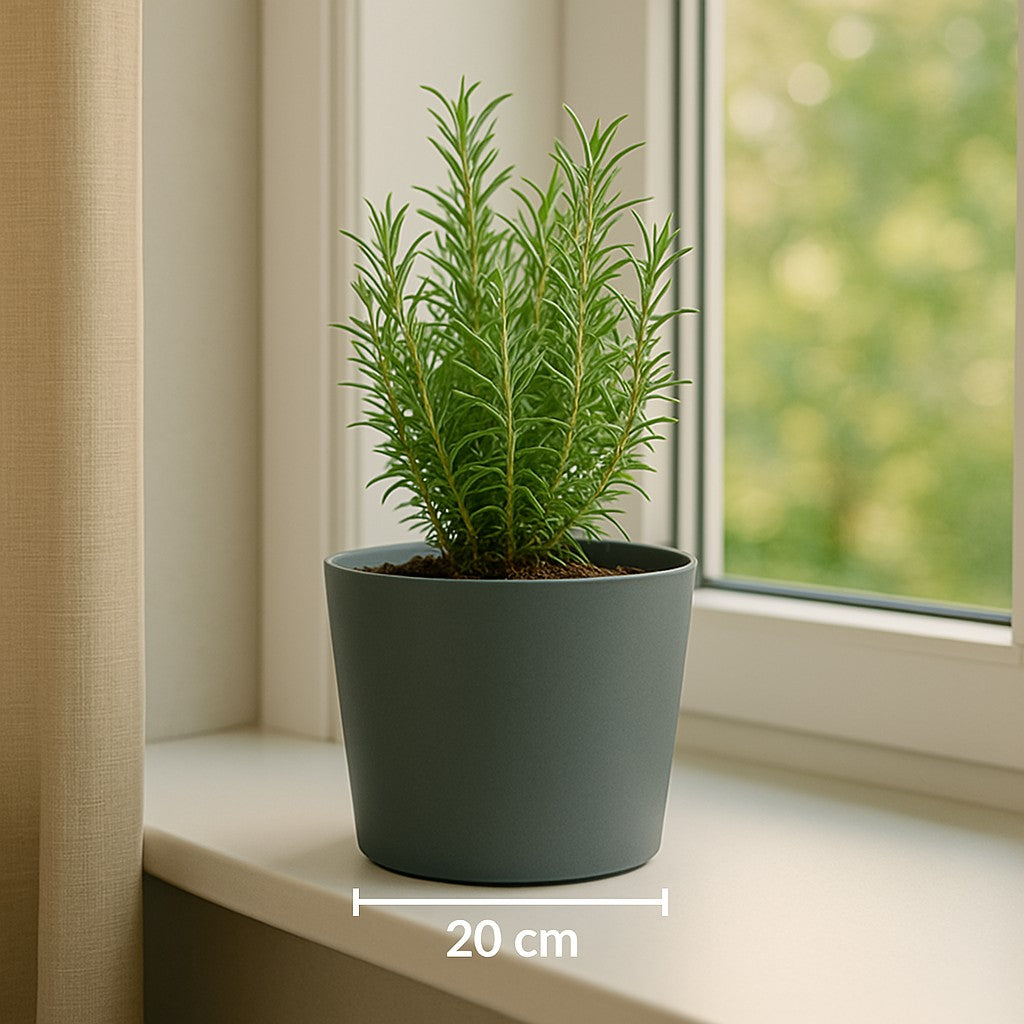 Pot Tubo Ø20 Dgrey