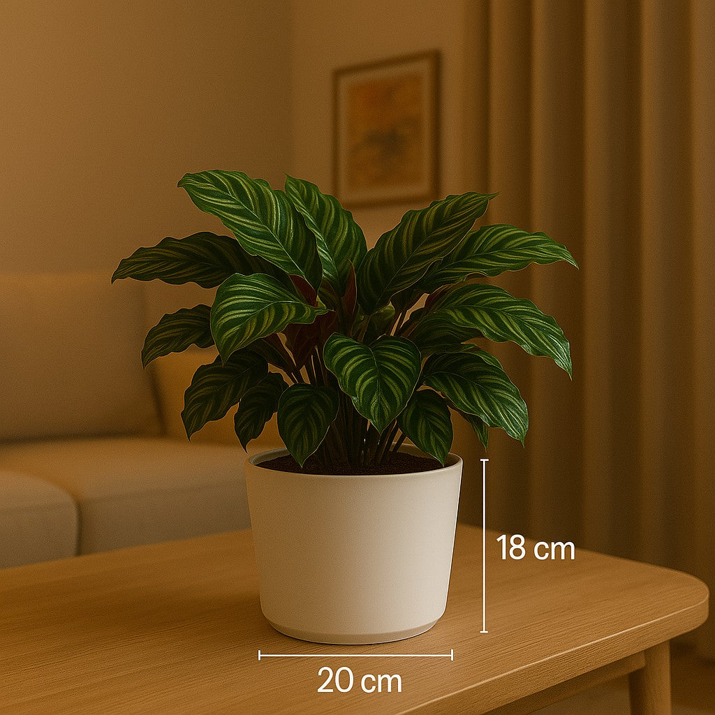 Pot Tubo Ø20 White