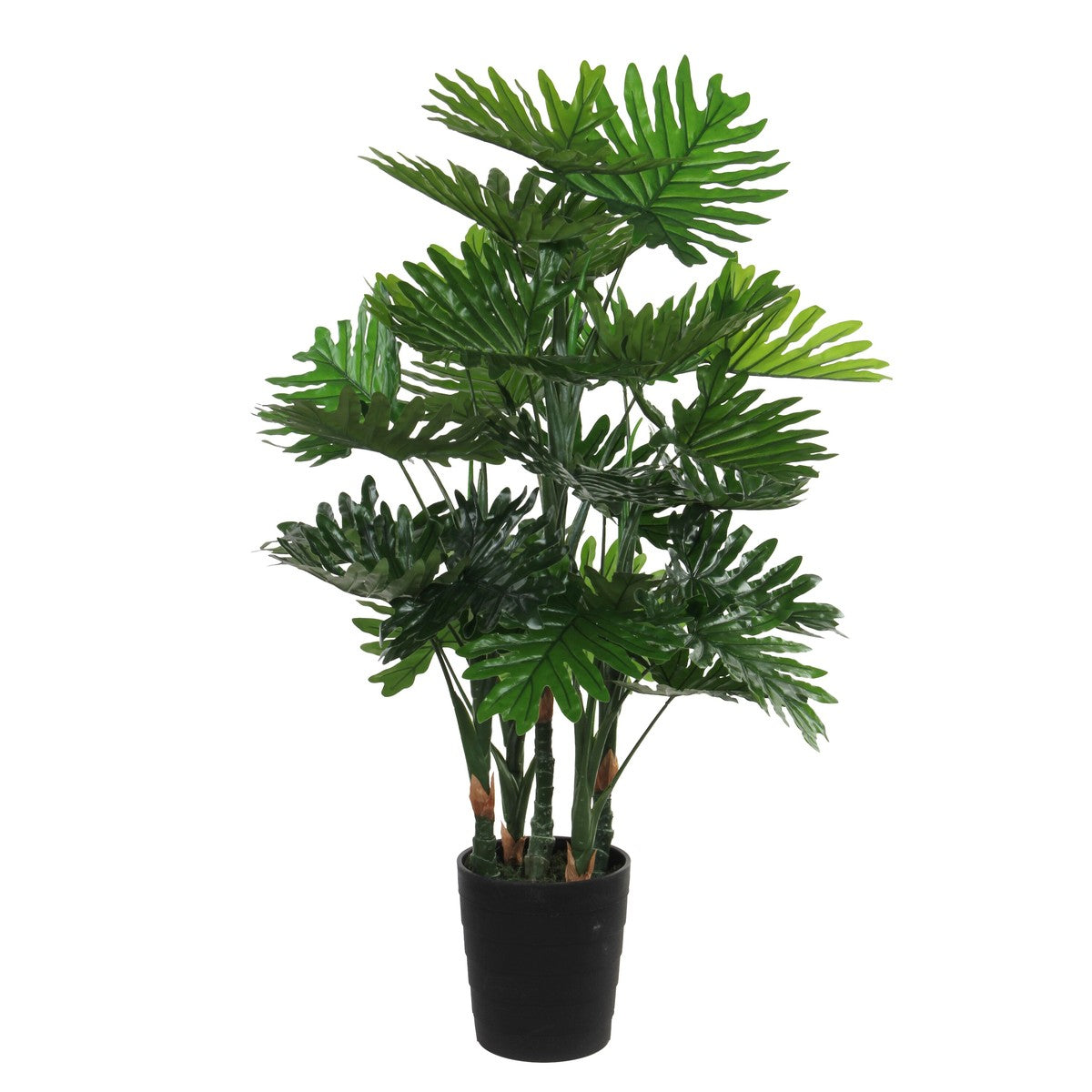 Philodendron In Plastic Pot Green - H120Xd80Cm