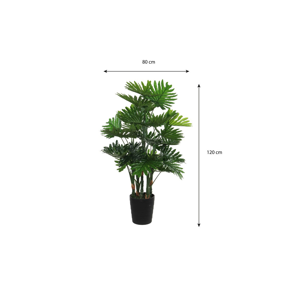 Philodendron In Plastic Pot Green - H120Xd80Cm