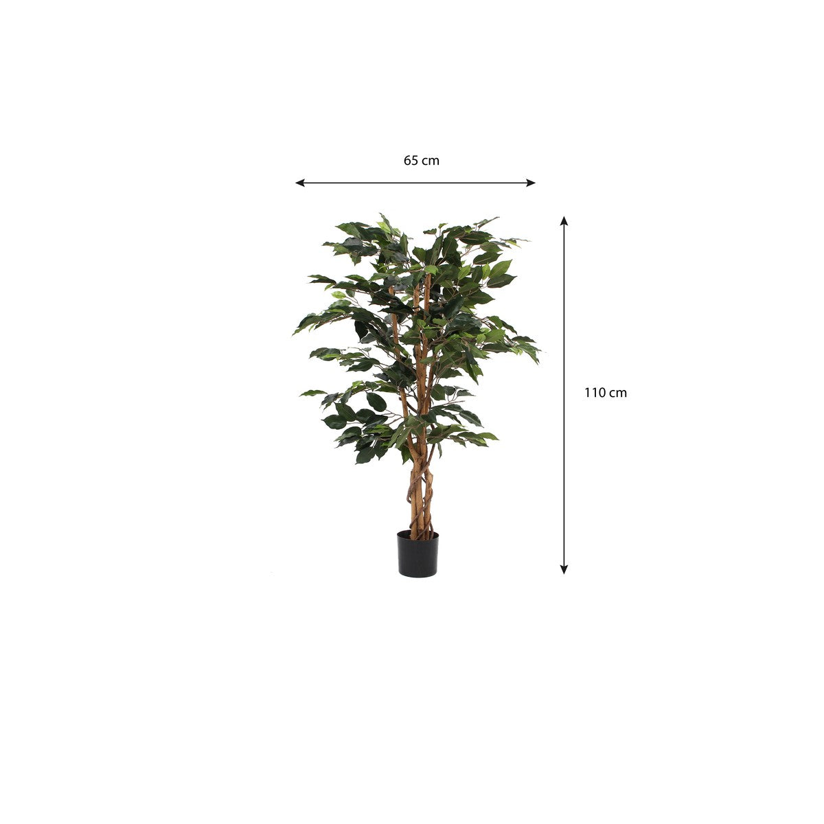 Ficus Green In Plastic Pot - H110Xd65Cm