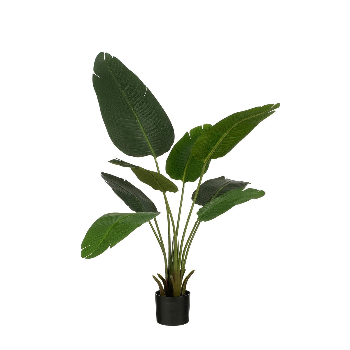 Banana Tree In Pot Green - H120Xd30Cm