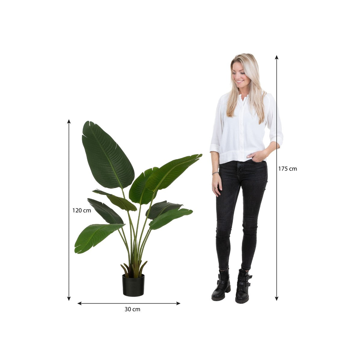 Banana Tree In Pot Green - H120Xd30Cm