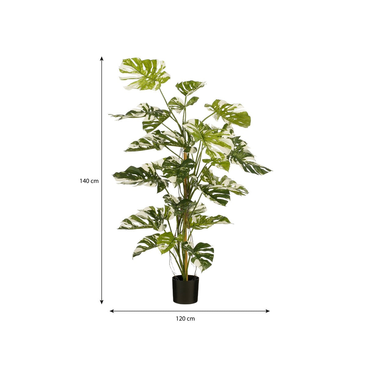 Monstera Tree Green - H140Xd120Cm