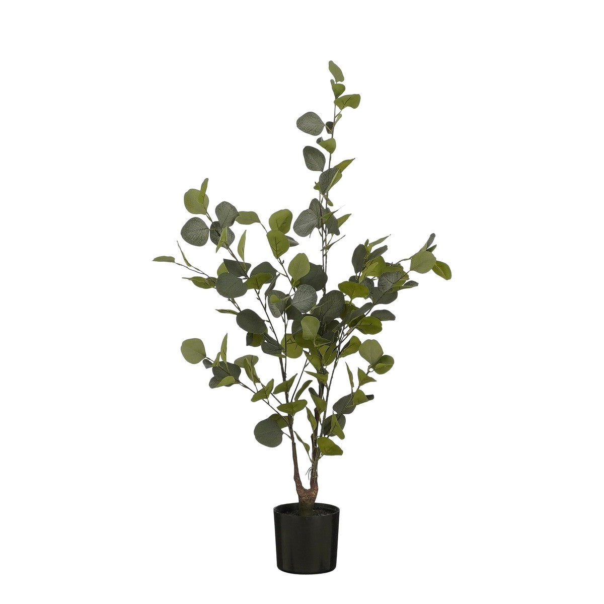 Eucalyptus Tree In Pot Green - H120Xd55Cm