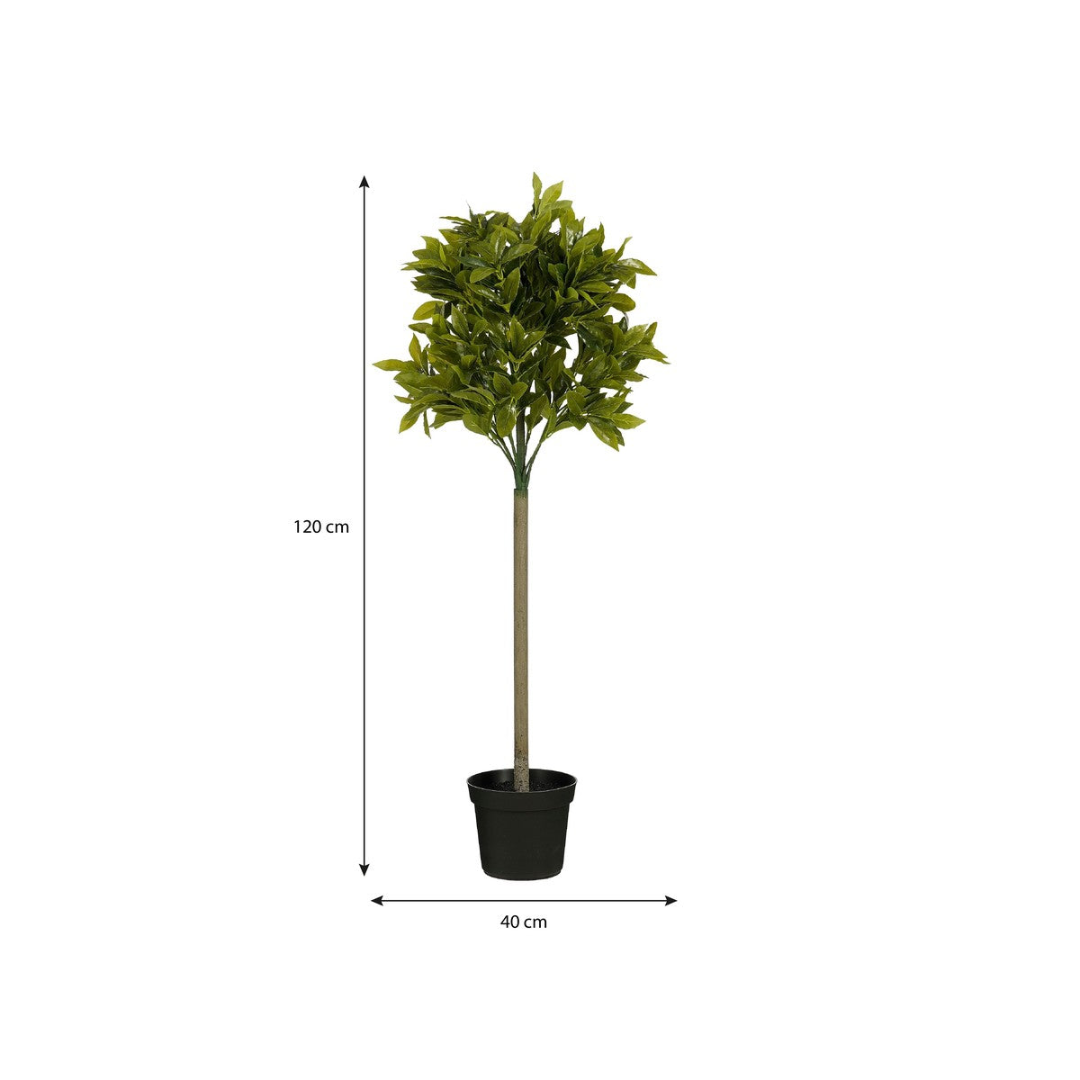 Laurel Tree Green Waterproof & Uv Resistant - H120Xd40Cm