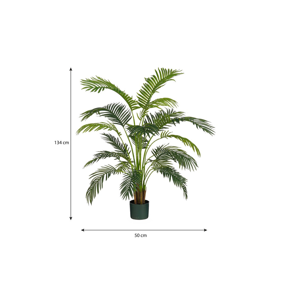 Areca Palm In Pot Green Waterproof & Uv Resistant - H134Xd50Cm