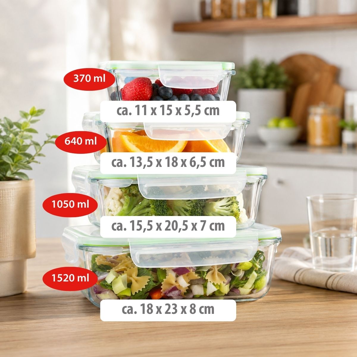 Food Container 4Pc