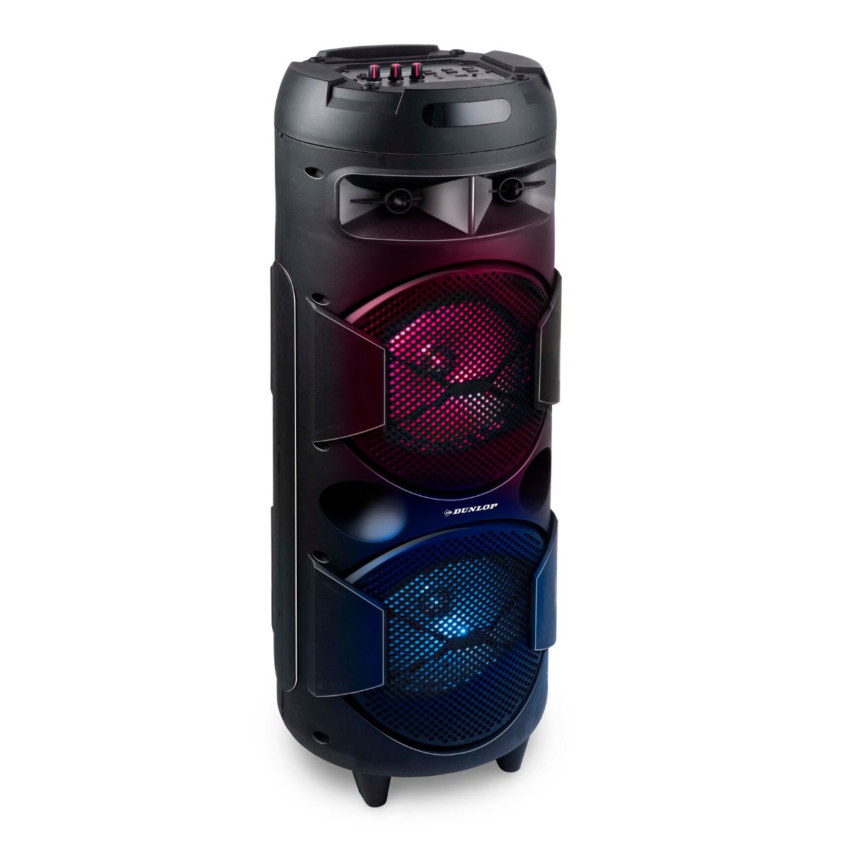 Speaker Karaoke Bt 40W