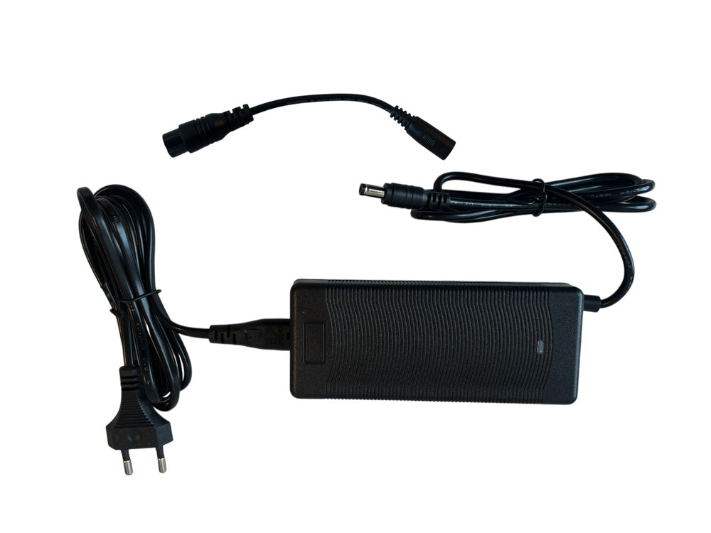 Chargeur 48 Volts 2Ah, Gx16 À 3 Broches + Connecteur Rond Pour Batteries Au Plomb