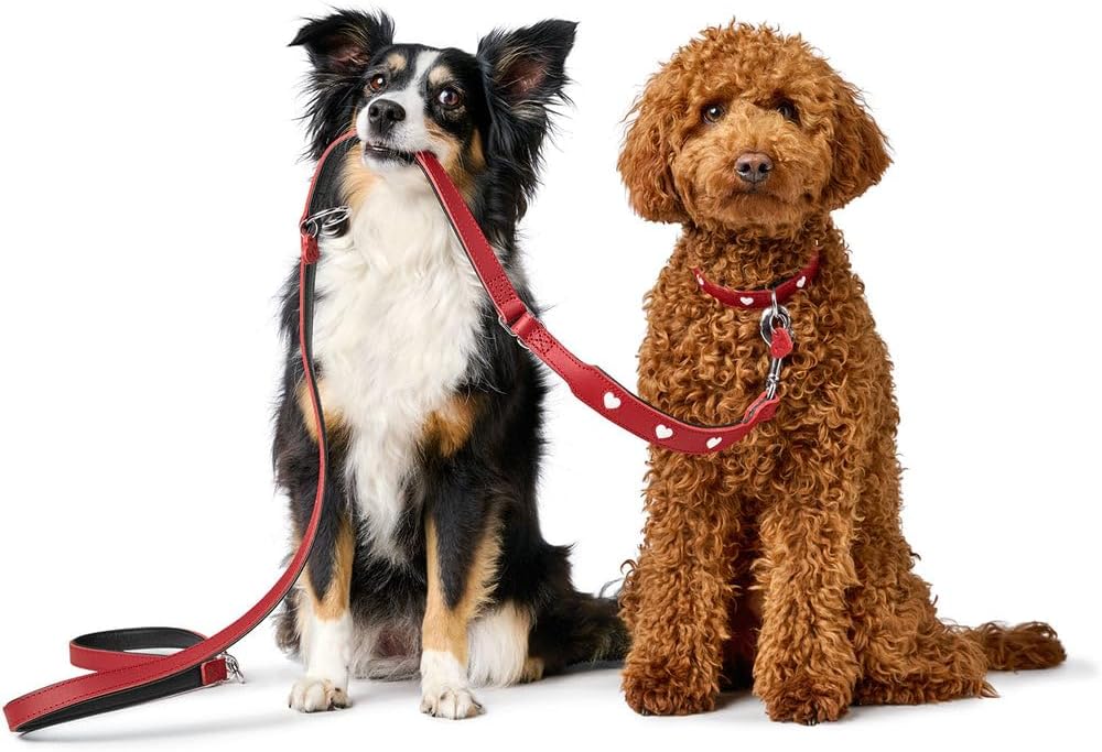 Hunter Laisse réglable pour Chien Love, Couleur : Rouge/Noir, Cuir Nappa Souple, réglable sur 3 Positions, cœurs Cousus, Finition de qualité supérieure, fabriquée en Allemagne, Taille 13/200