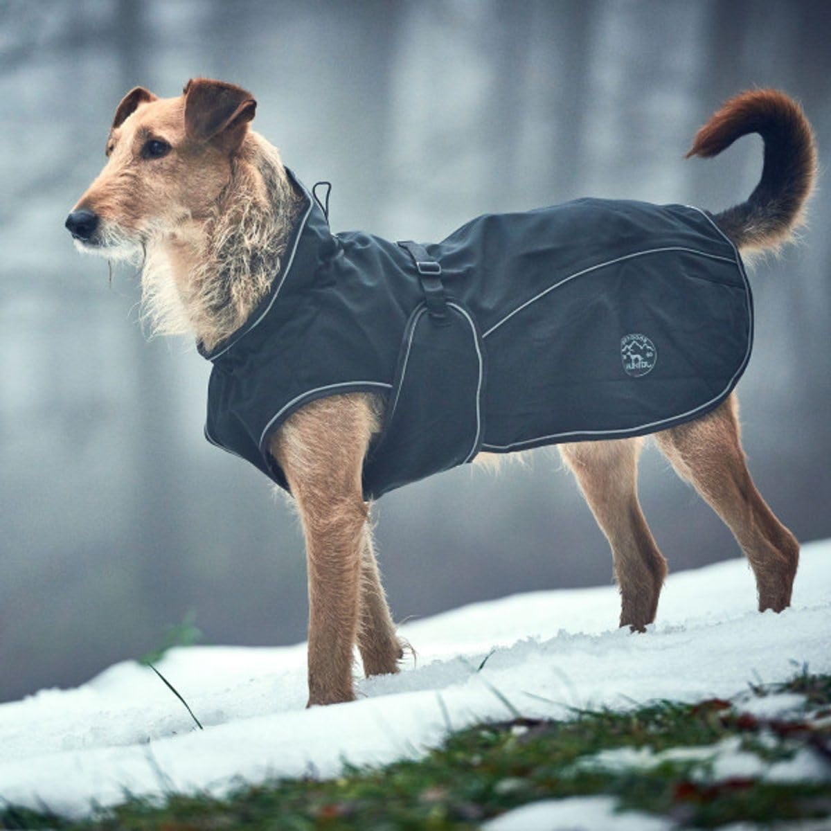 Couverture pour chien Uppsala, taille 55