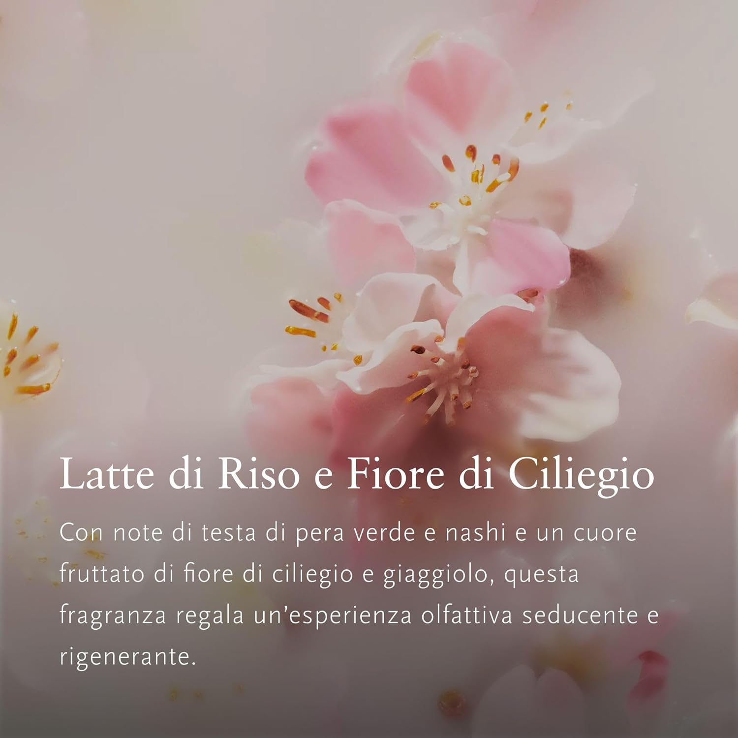 Rituals Diffuseur de Parfum - Recharge Sakura - Bâtons parfumés Fleur de Cerisier, Lait de Riz - Parfum d'intérieur renouvelable - 500 ML