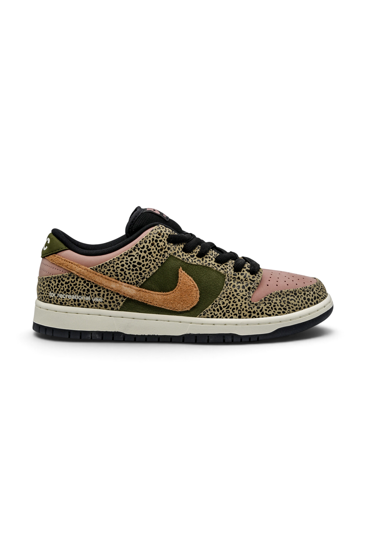 Nike Sb Dunk Low Arts-Rec