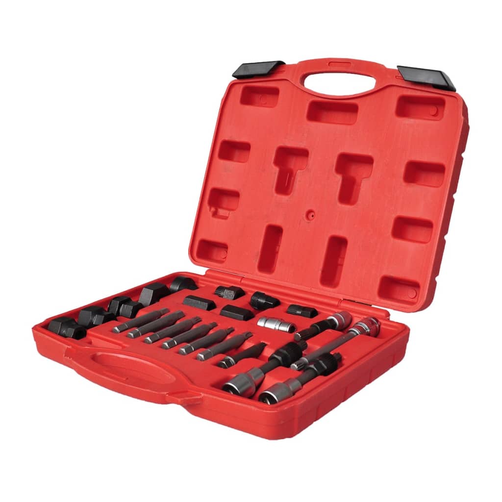 Kit De Démontage De Roue Libre D'alternateur 22 Pcs