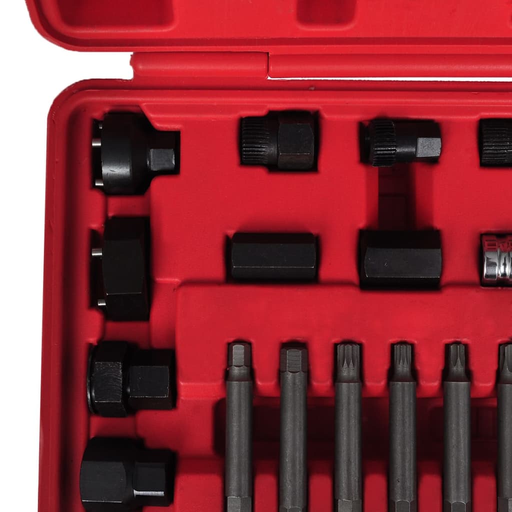 Kit De Démontage De Roue Libre D'alternateur 22 Pcs