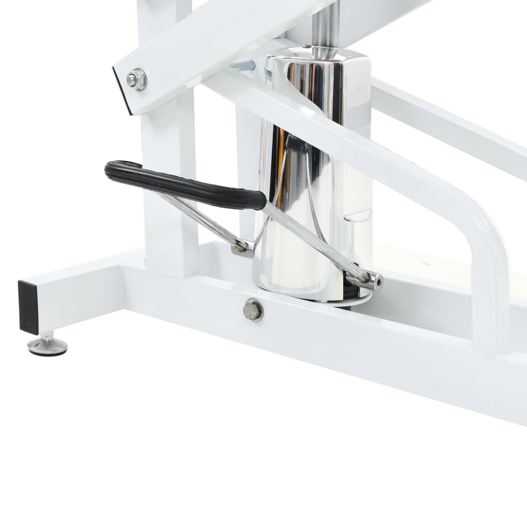 Table Toilettage Ajustable Hydraulique Pour Chiens Chats Animaux