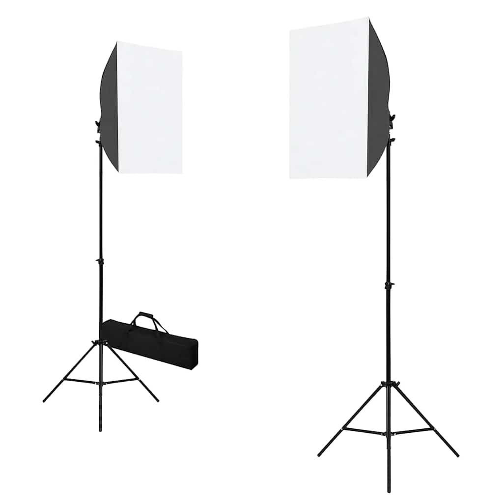 Lampes De Studio Professionnelles 2 Pcs 40X60 Cm Acier Noir