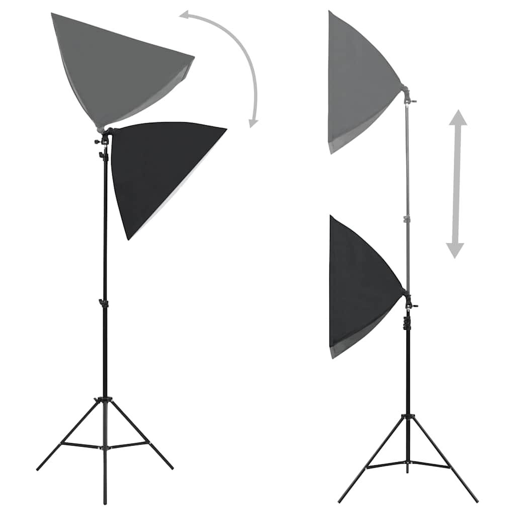 Lampes De Studio Professionnelles 2 Pcs 40X60 Cm Acier Noir