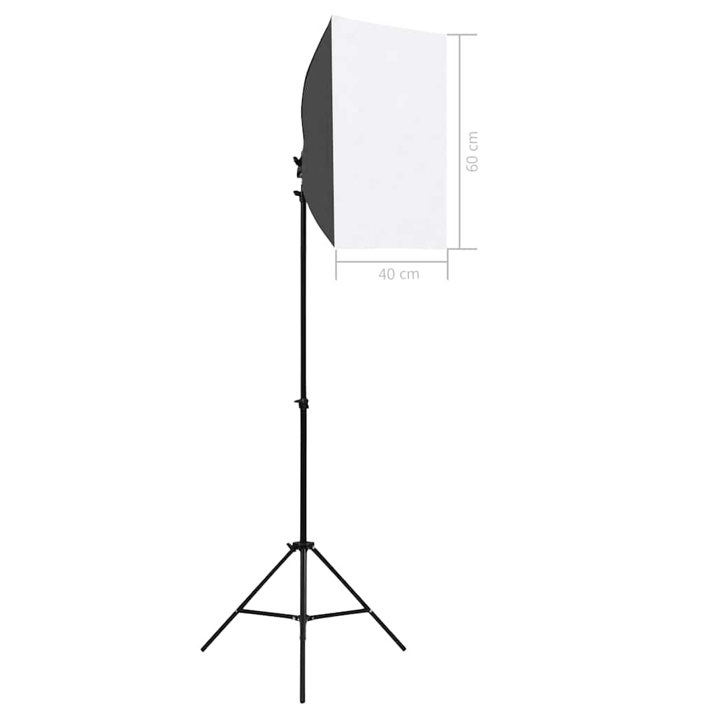 Lampes De Studio Professionnelles 2 Pcs 40X60 Cm Acier Noir