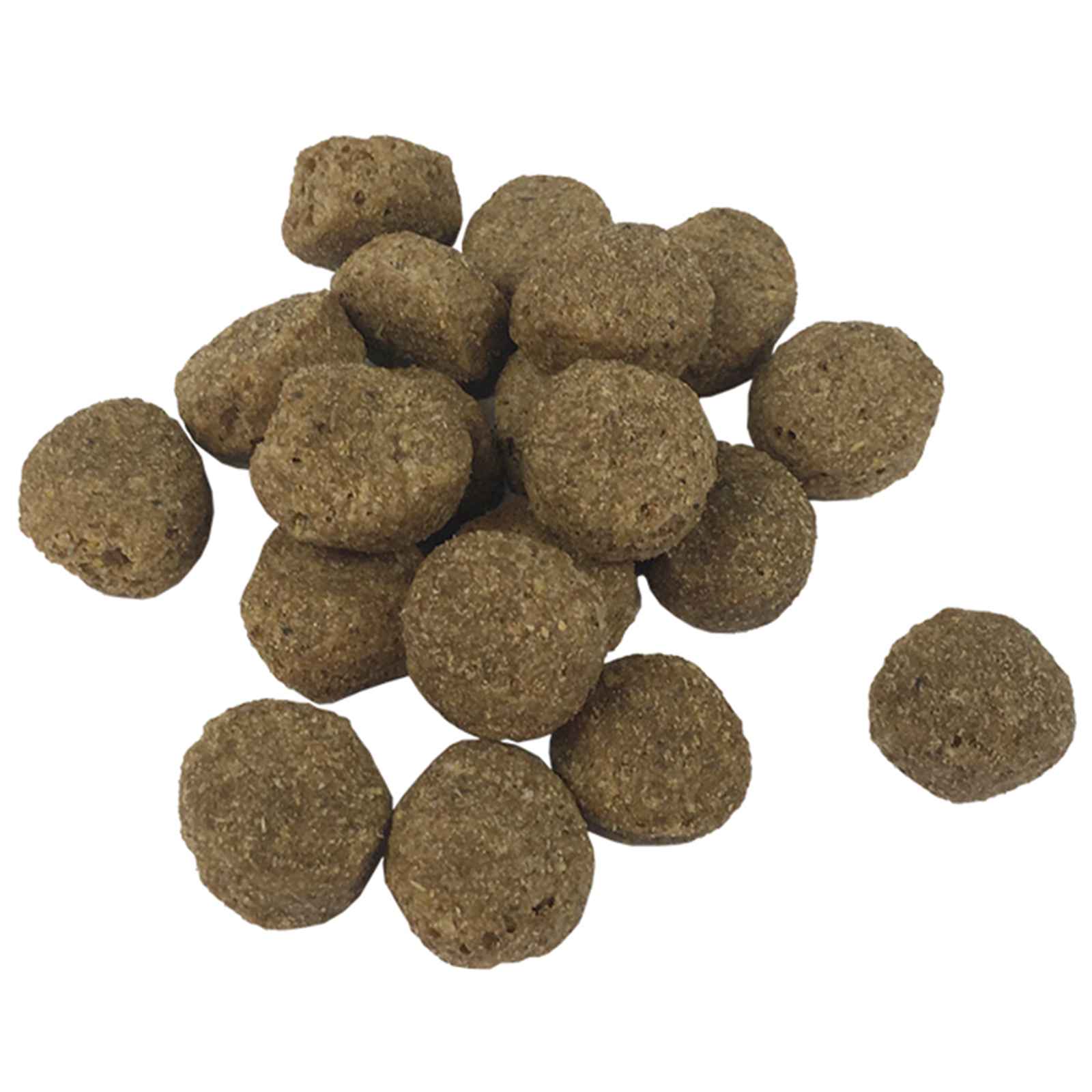 Support De Nourriture Et Bol Avec Nourriture Pour Chien