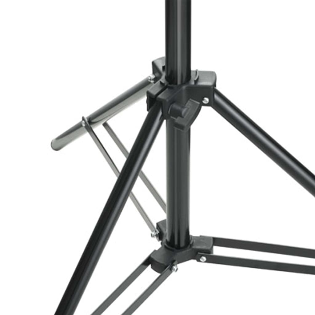 Kit De Studio Photo Avec Ensemble D'éclairage Et Toile De Fond