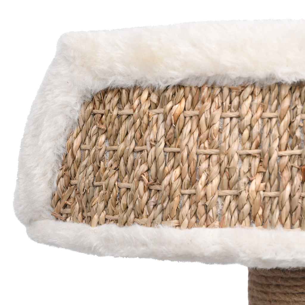 Arbre À Chat Avec Griffoirs 49 Cm Herbiers Marins