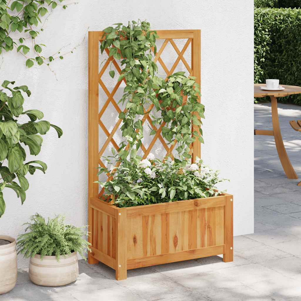 Lit Surélevé De Jardin Avec Treillis Bois Massif D'acacia