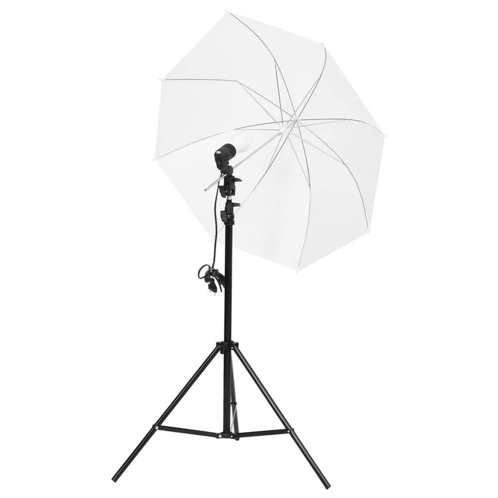 Kit De Studio Photo Avec Éclairage Et Toile De Fond