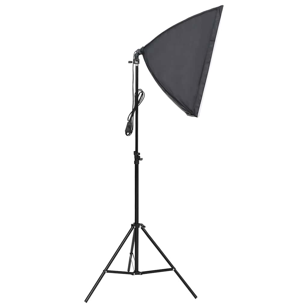 Kit De Studio Photo Avec Éclairage Et Toile De Fond