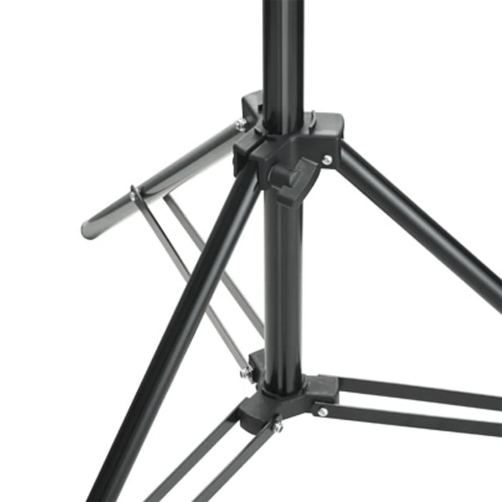Kit De Studio Photo Avec Éclairage Et Toile De Fond