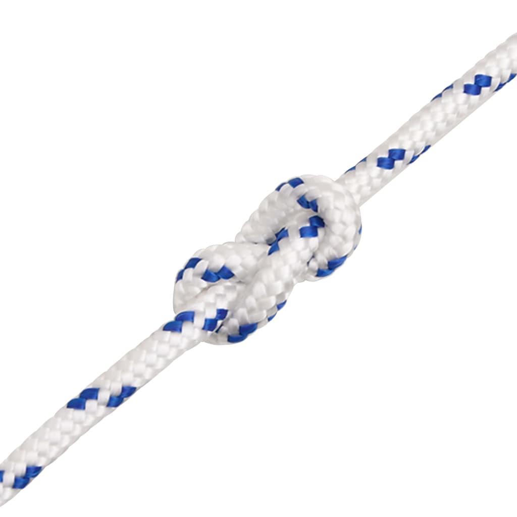 Corde De Bateau Blanc Polypropylène Blanc Et Bleu