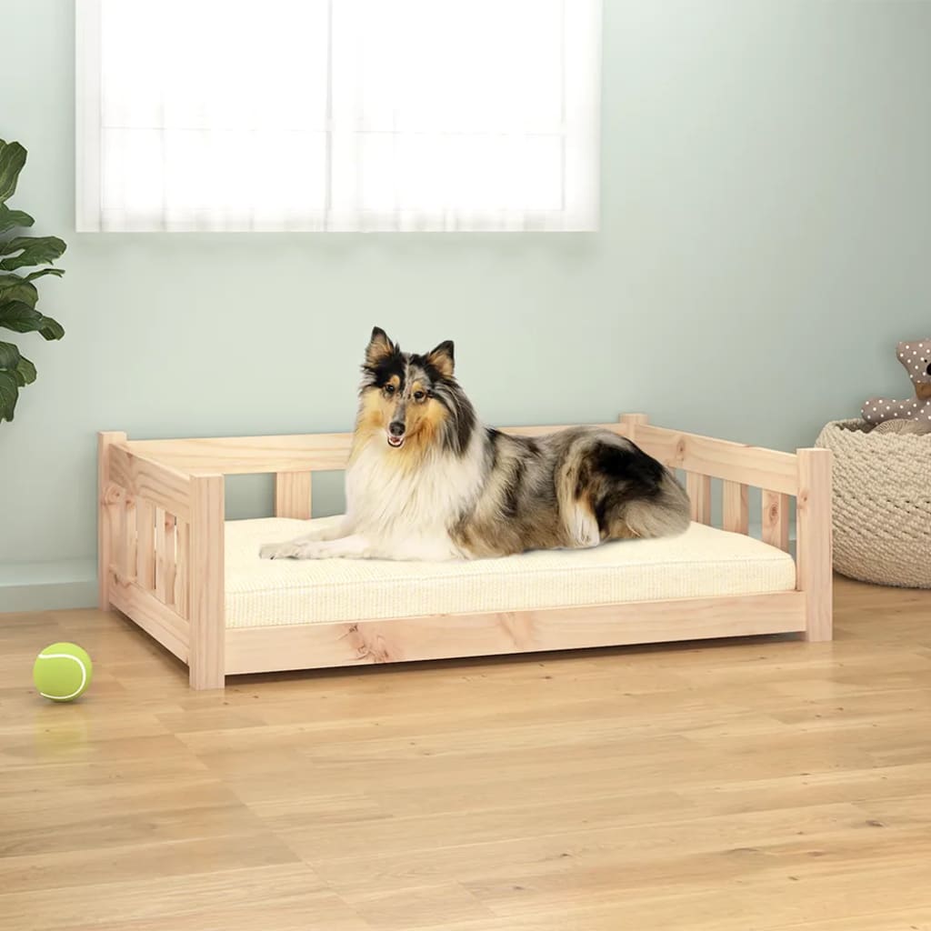 Lit Pour Chien