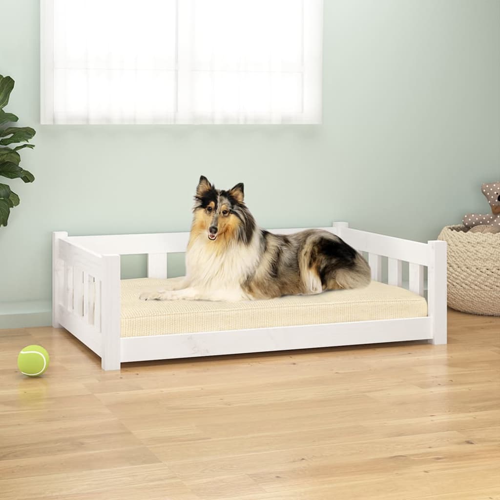 Lit Pour Chien